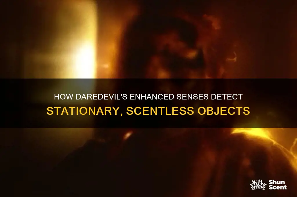 how can daredevil see stationary objects with no scent
