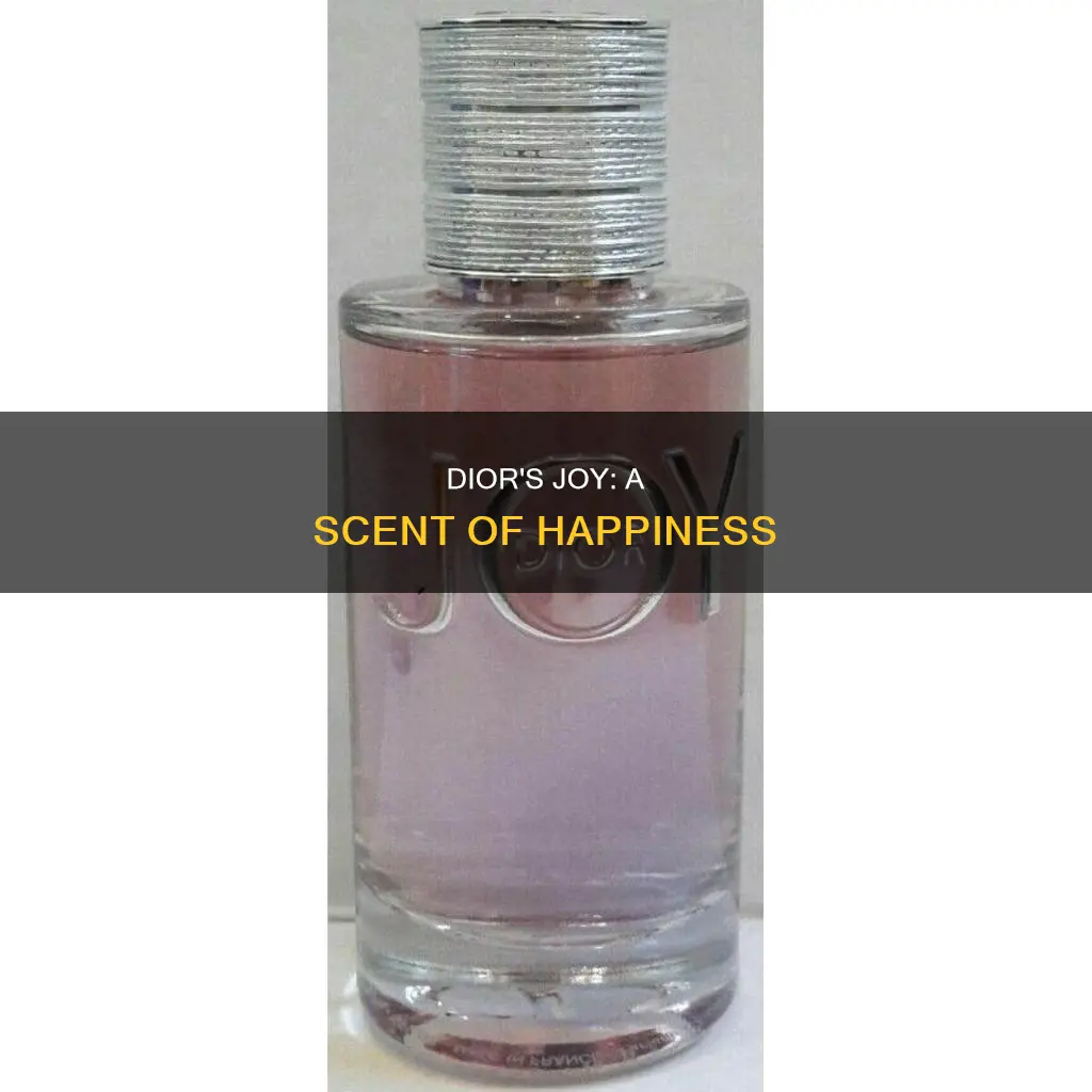 how can dior call their perfume joy