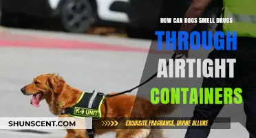 Sniffing Out Secrets: How Dogs Detect Drugs in Airtight Containers