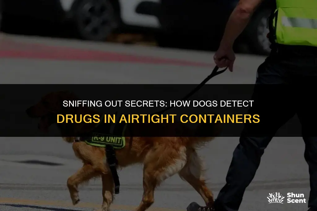 how can dogs smell drugs through airtight containers