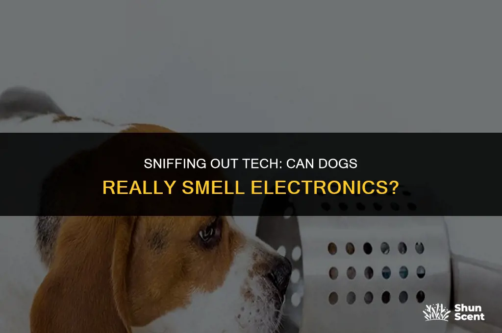 how can dogs smell electronics