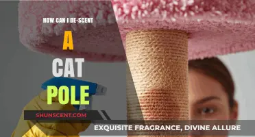 Effective Tips to De-Scent Your Cat Pole and Keep It Fresh