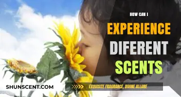 Exploring Aromas: Creative Ways to Experience Diverse Scents Daily