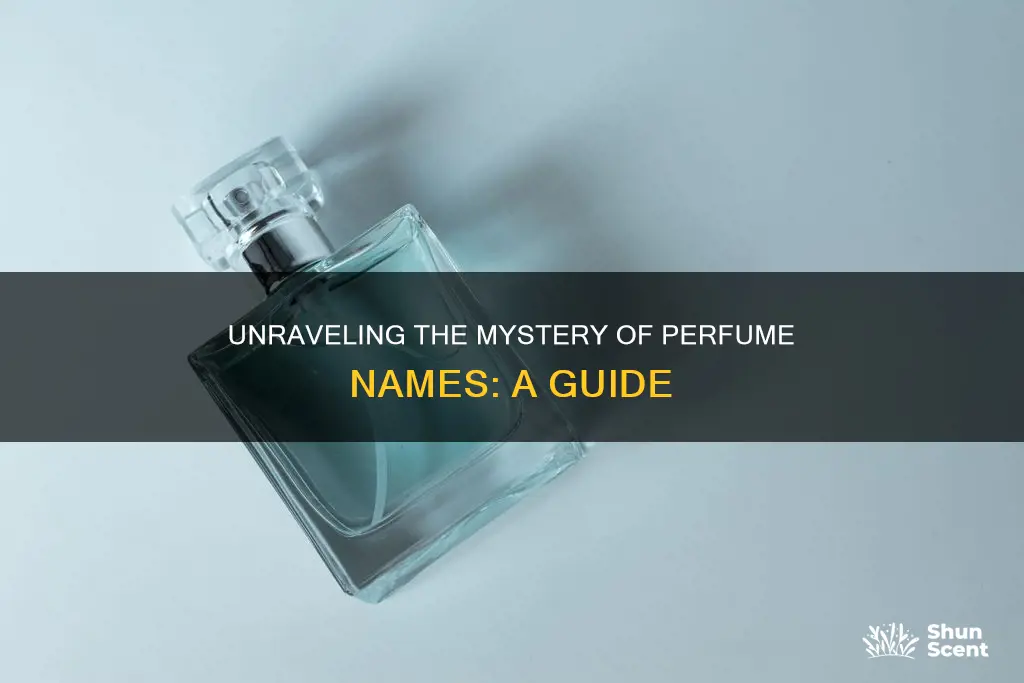 how can i find the name of a perfume