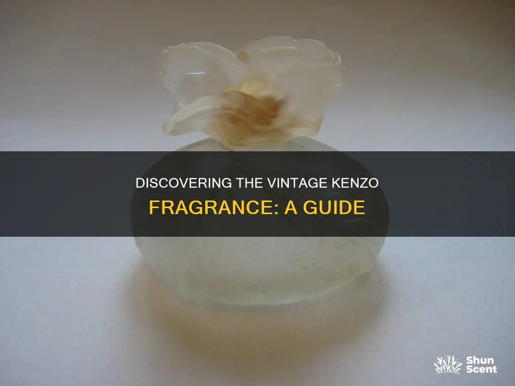 how can i find the old kenzo perfume
