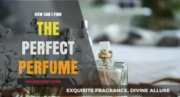 Finding Your Signature Scent: A Guide to Perfumes