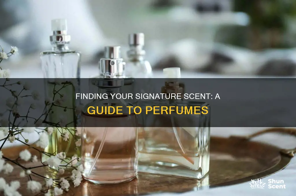 how can i find the perfect perfume