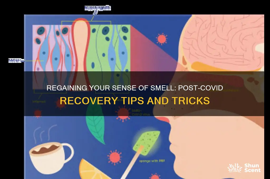 how can i get my scent back after covid