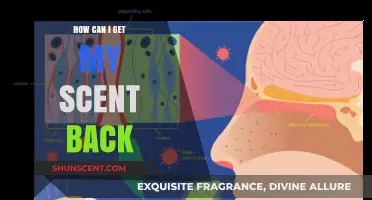 Regaining Your Sense of Smell: Tips and Strategies to Restore Your Scent