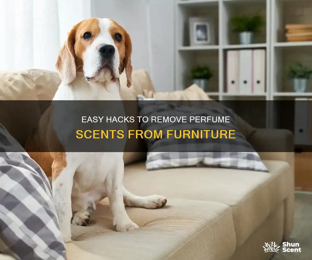 how can i get perfume smell out of furniture