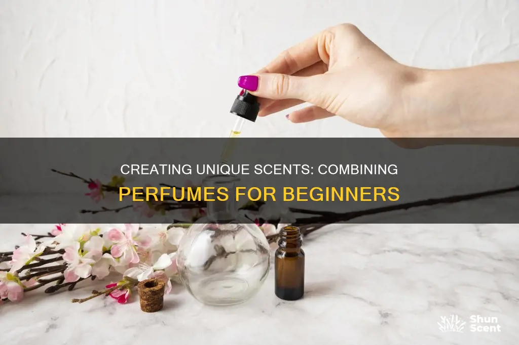 how can i get started with perfume combine
