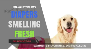 Pawsitively Fresh: Tips to Keep Your Dog's Diapers Odor-Free