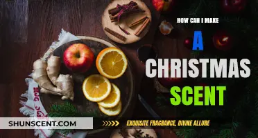 Crafting Festive Aromas: DIY Christmas Scent Ideas for Your Home