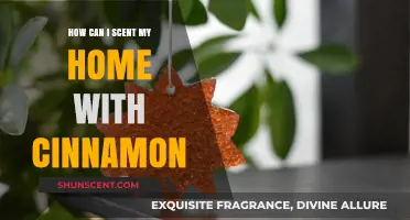 Warm Up Your Home: Easy Cinnamon Scenting Tips and Tricks
