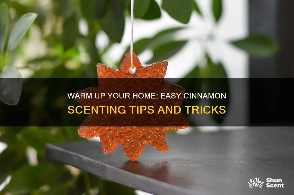 how can i scent my home with cinnamon