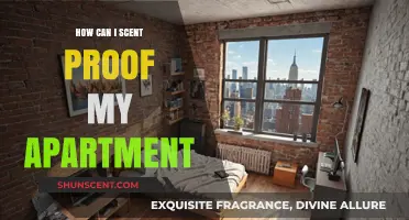 Effective Ways to Scent-Proof Your Apartment and Keep Odors Out