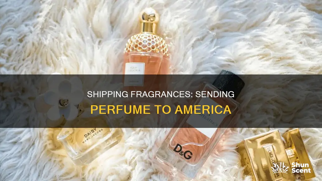 how can i send perfume to america