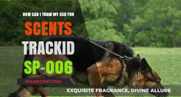 Effective Scent Tracking Training Tips for Your German Shepherd Dog