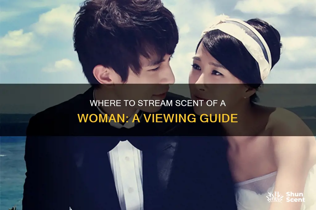 how can i watch scent of a woman