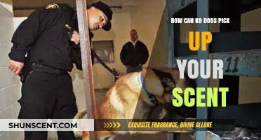 How K9 Dogs Detect and Track Your Unique Scent