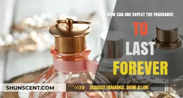 The Ultimate Guide to Long-Lasting Fragrance: Tips and Tricks