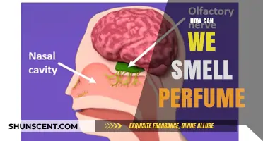 The Science of Scents: How We Smell Perfume