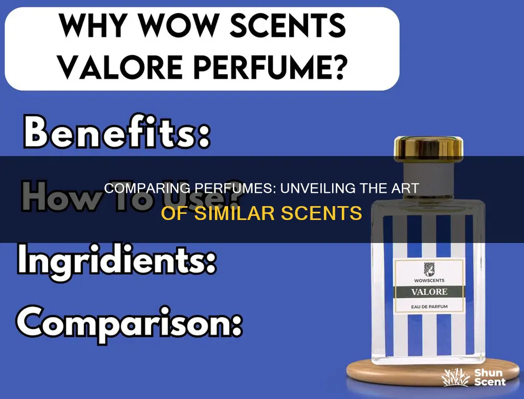 how can you compare similarities of perfumes from different brands