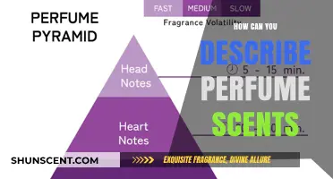 Explore the Fragrance Wheel: Discover Your Signature Scent