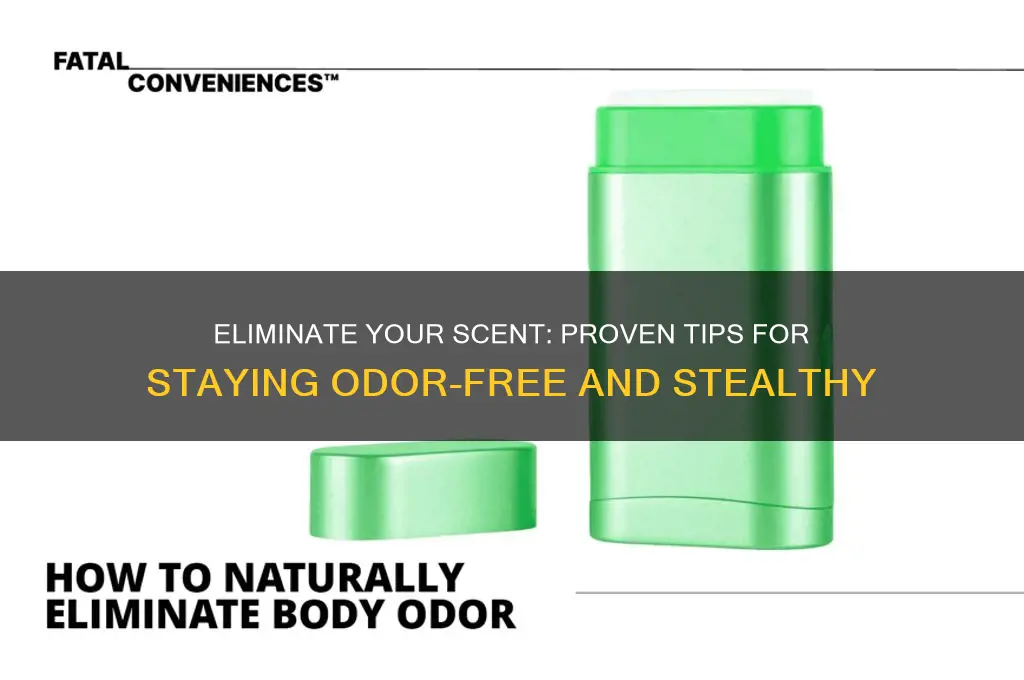how can you get rid of your scent