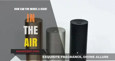 Modeling Scents in the Air: Techniques for Capturing Aromatic Dynamics