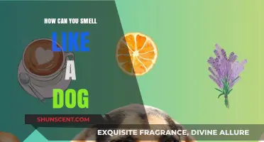 Unleashing Your Inner Canine: A Guide to Dog-Like Scents