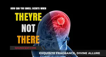 Phantom Smells: Understanding the Science Behind Imagined Scents