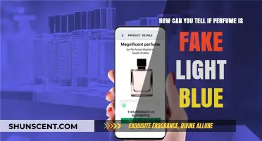 Authenticating Light Blue: Detecting Fake Perfumes