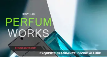 The Science of Car Perfumes: How They Work