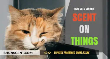 How Cats Mark Territory: The Science of Feline Scent Secretion