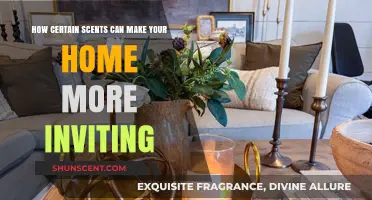 Scent Secrets: Transform Your Home with Inviting Aromas