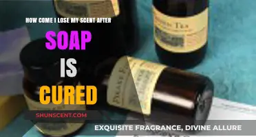 Why Does Soap Lose Its Scent After Curing? Explained