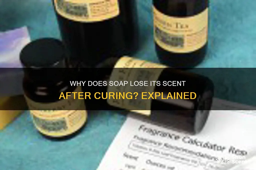 how come i lose my scent after soap is cured