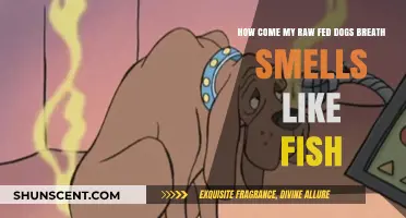 Why Does My Raw-Fed Dog's Breath Smell Like Fish?