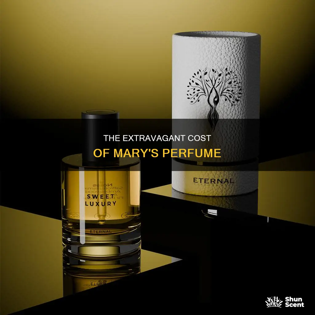 how costly was mary