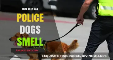 Unleashing the Power: The Incredible Depth of Police Dogs' Sense of Smell