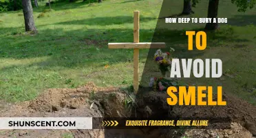 Avoiding Odor: The Optimal Burial Depth for Your Deceased Dog