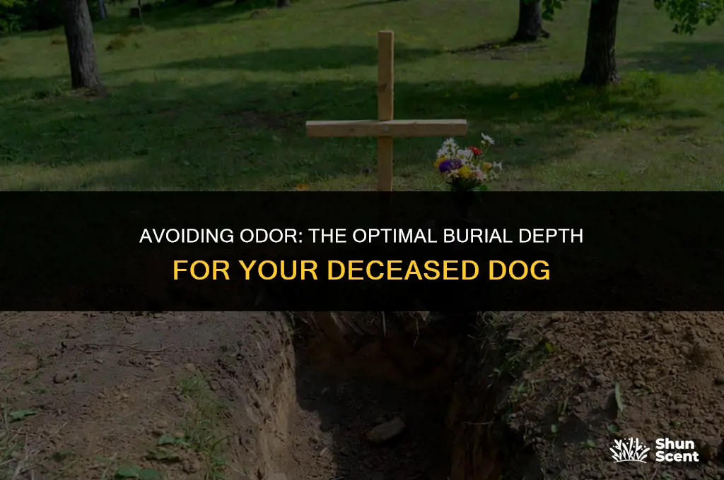 how deep to bury a dog to avoid smell