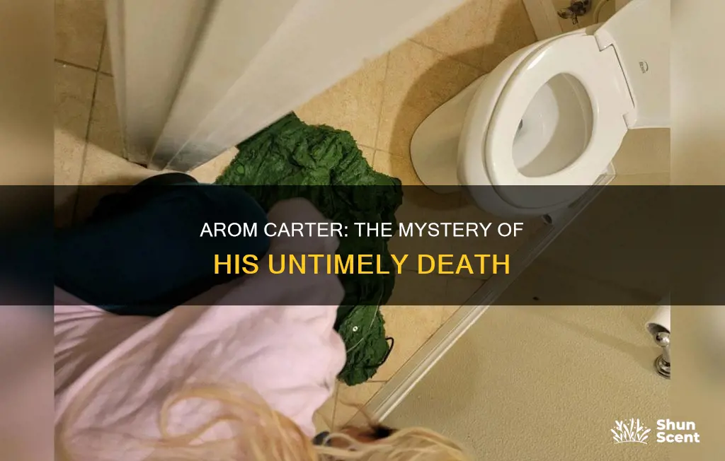 how did arom carter die