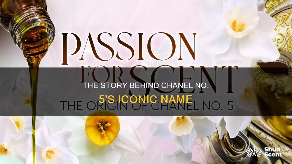 how did chanel no 5 perfume get its name