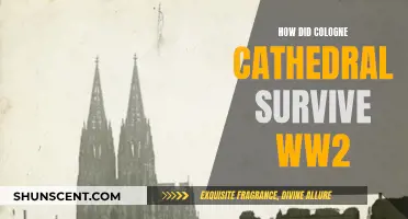 Cologne Cathedral: A Survivor's Tale of WWII