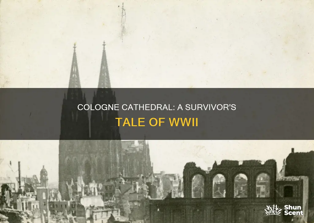 how did cologne cathedral survive ww2