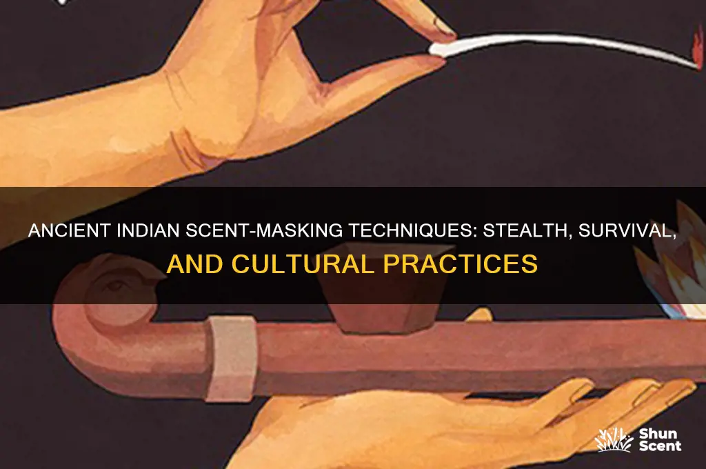 how did indians cover their scent