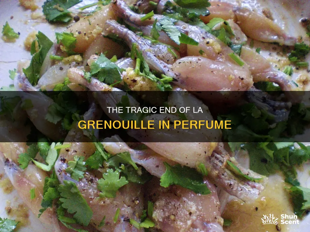 how did la grenouille from perfume die