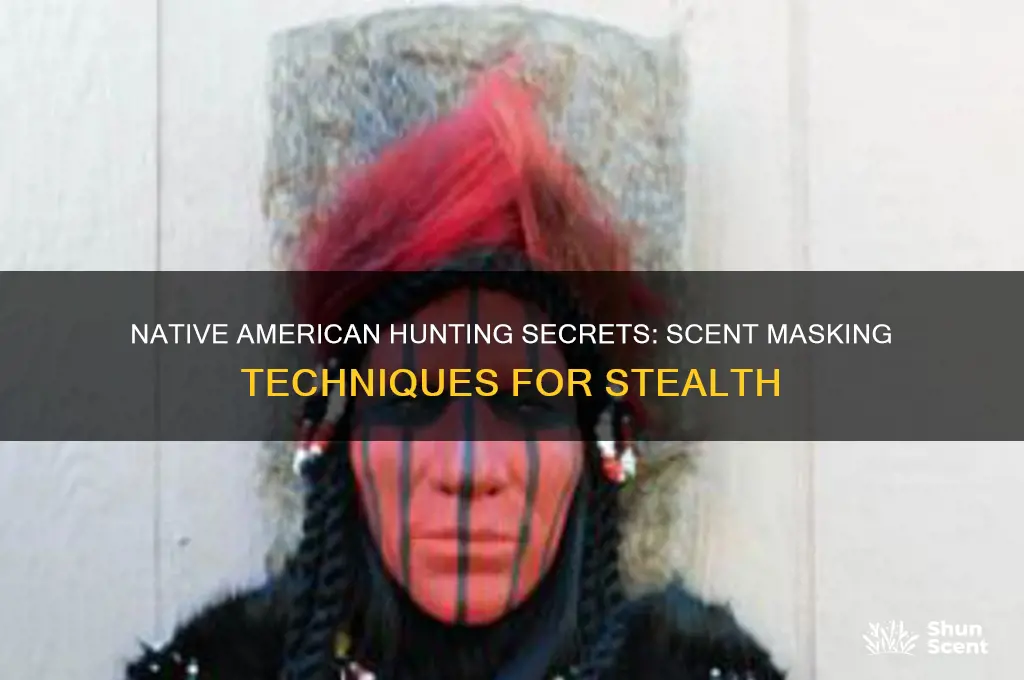 how did native americans cover their scent when hunting